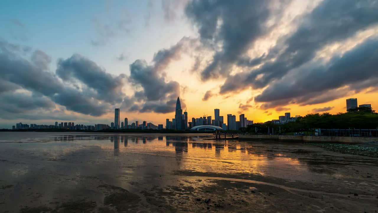 深圳湾公园城市风景视频素材