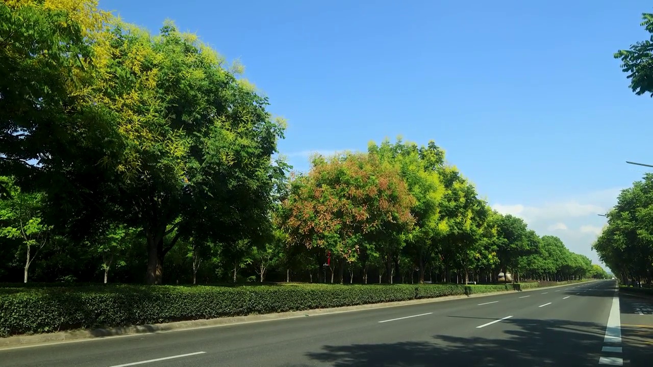 初秋蓝天下干净整洁的公路视频素材