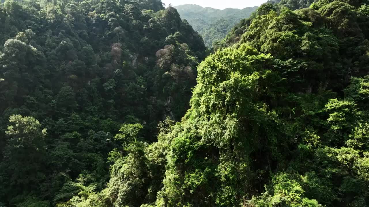 航拍晴朗天空下桂林山区峡谷中的森林瀑布视频素材