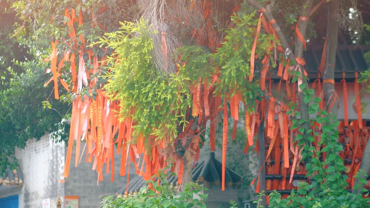 许愿树上挂满各种木制许愿牌招财进宝财源广进开运祈祷求神保佑姻缘健康长寿中国传统文化愿望成真许愿牌位视频素材