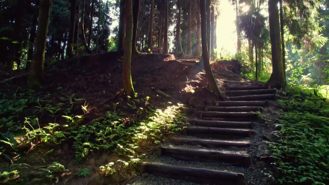 成都彭州中坝森林保护站视频素材