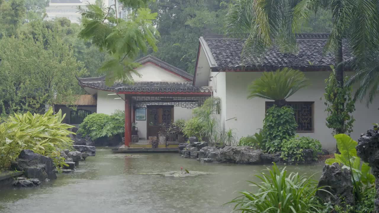 雨中中式园林庭院，柳州柳侯公园视频素材