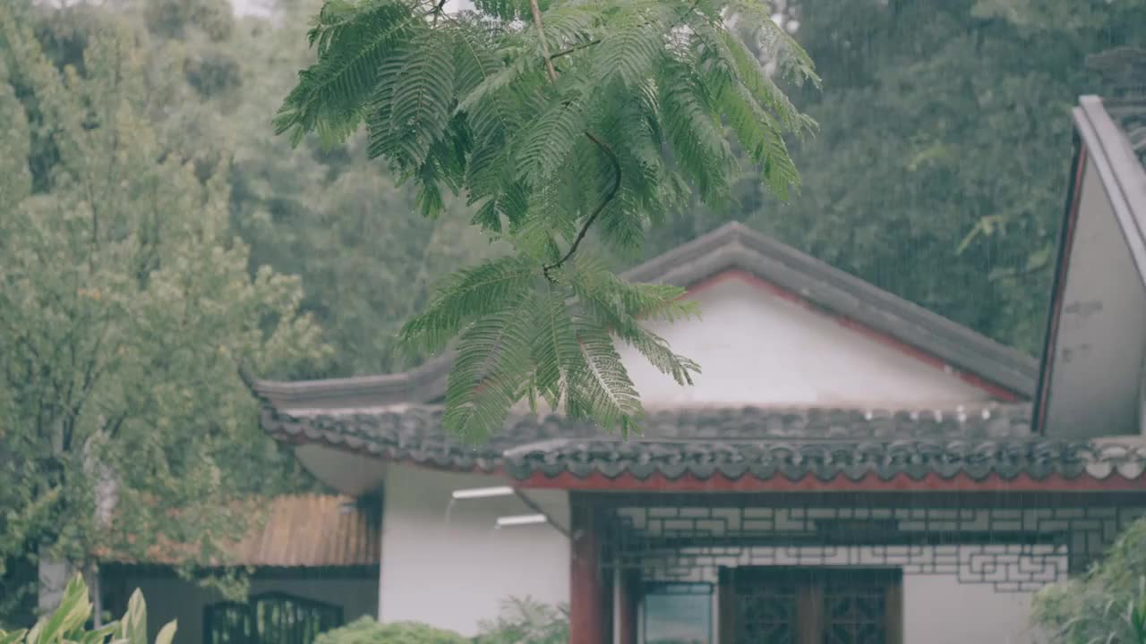 雨中的中式庭院，广西柳州柳侯公园视频素材