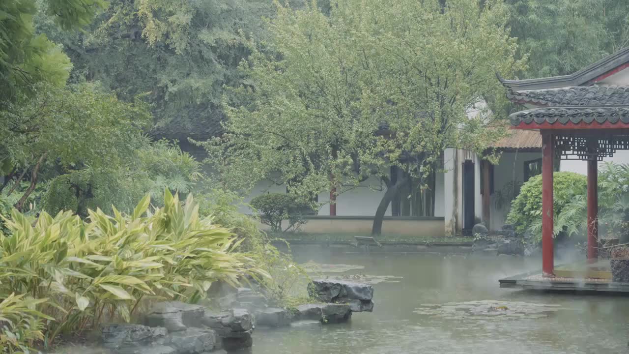 柳州柳侯公园中华园，雨中的中式园林庭院视频素材