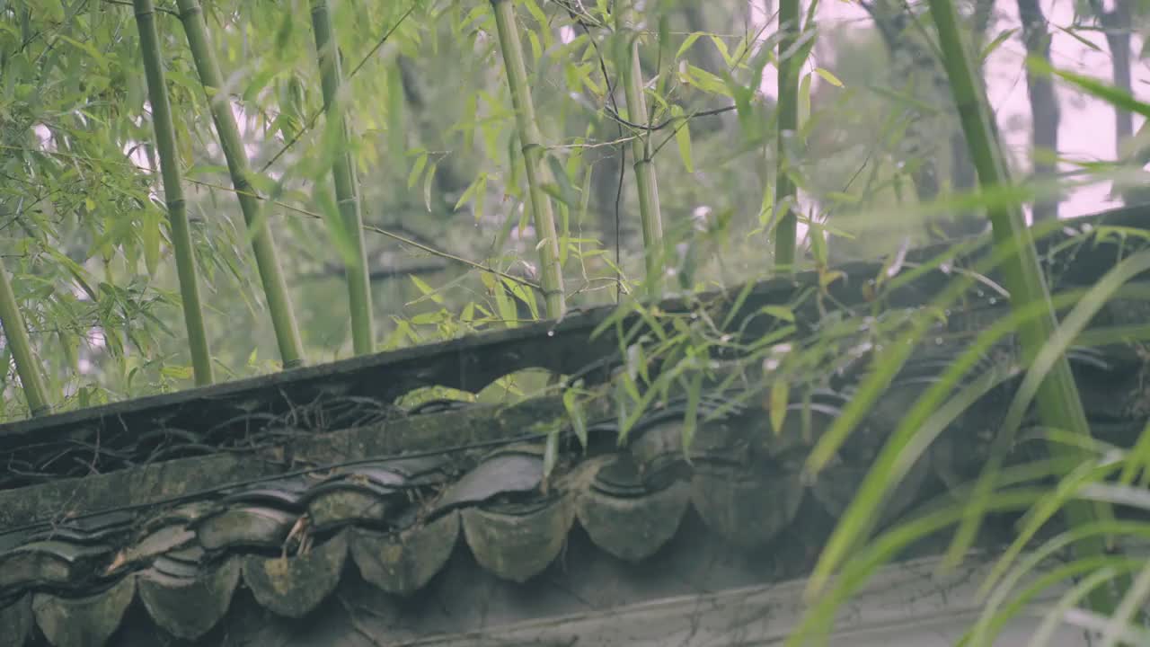 下雨天的中式屋檐和风中摆动的竹子视频素材