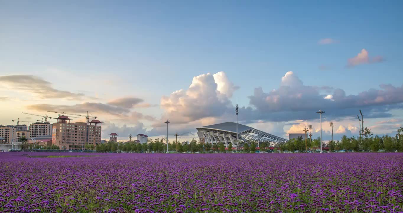 亚洲中国吉林省梅河口市体育馆花海日落8K延时视频素材