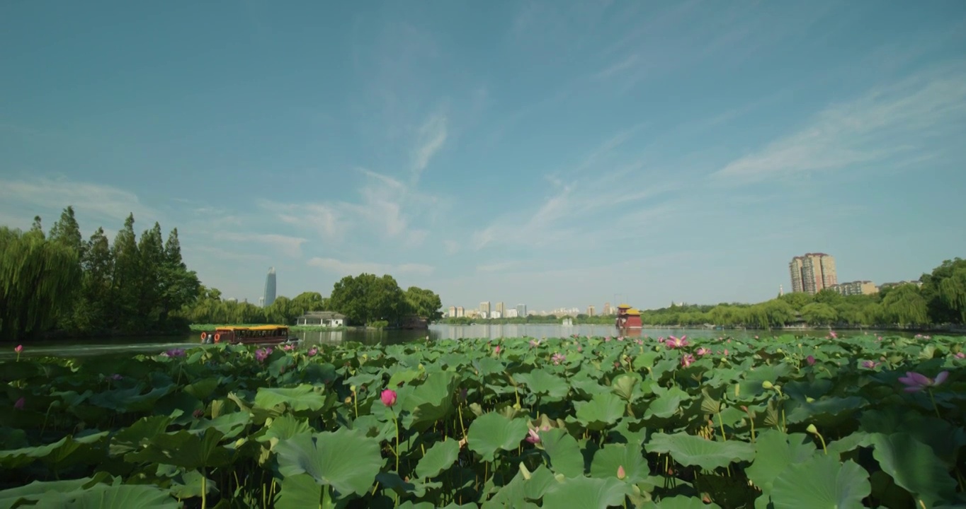 济南城市风光视频素材