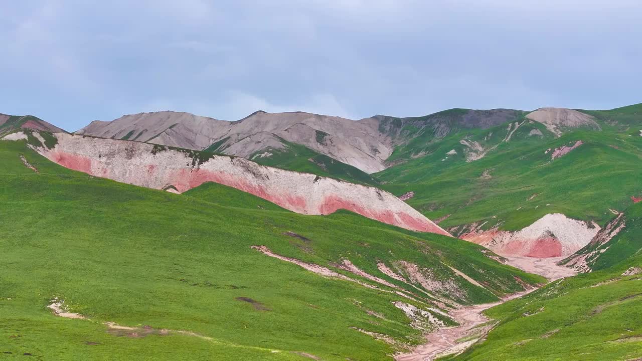 航拍夏天的青海祁连山大草原风光视频素材