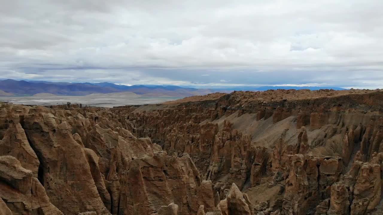 航拍西藏奇林峡 在峡谷中飞跃穿梭视频素材