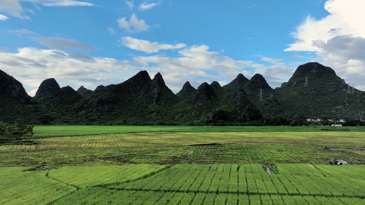 秋天阳光下桂林山峰间稻田里的收割机正在作业视频素材