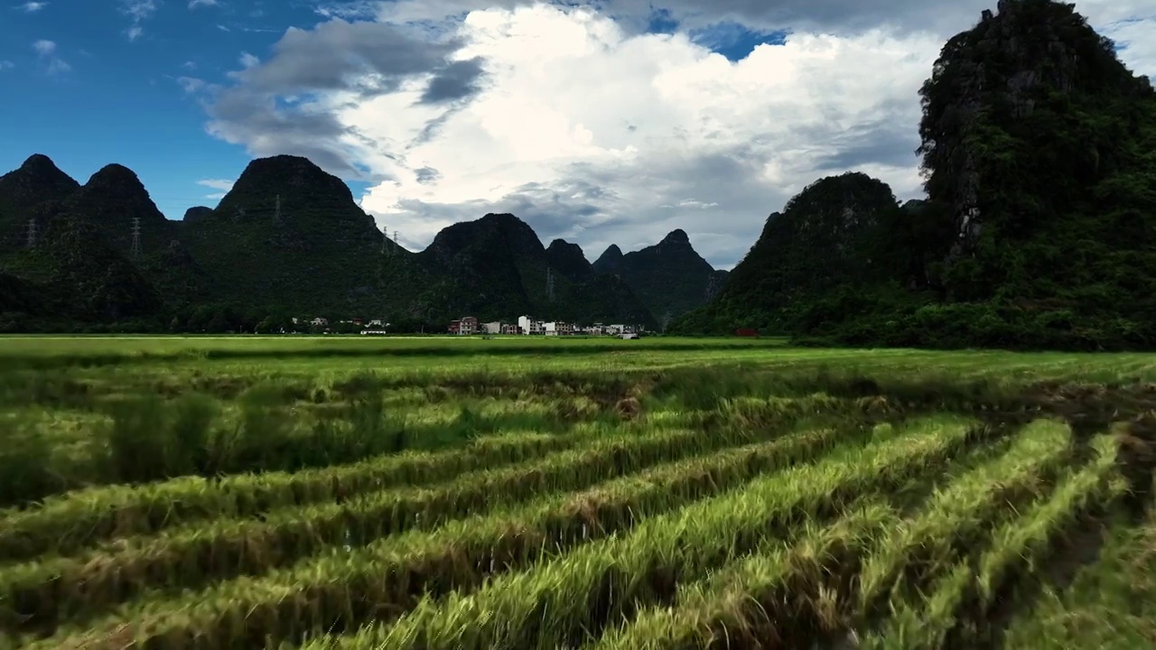 秋天蓝天白云阳光下桂林山峰间小河边已经收割的稻田视频素材