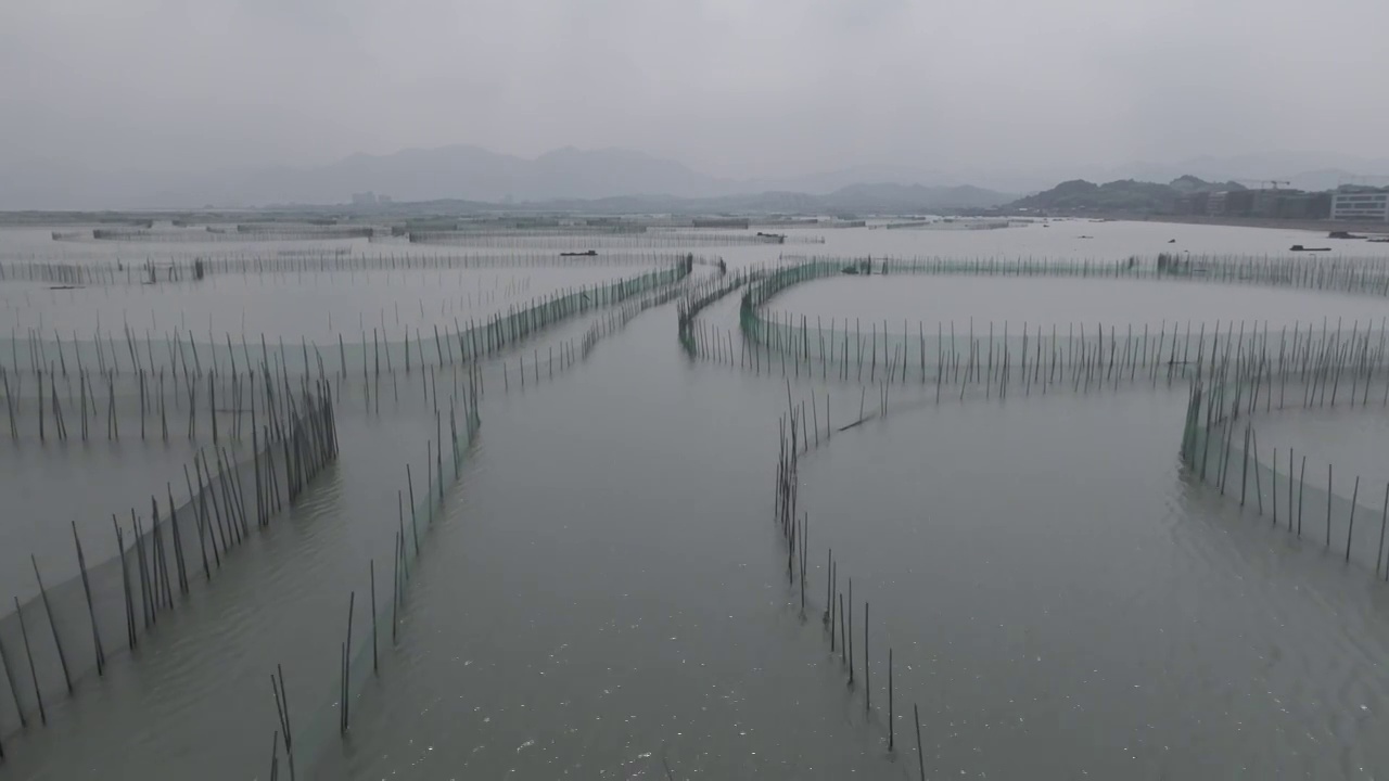 航拍宁波奉化翡翠湾的渔港视频素材