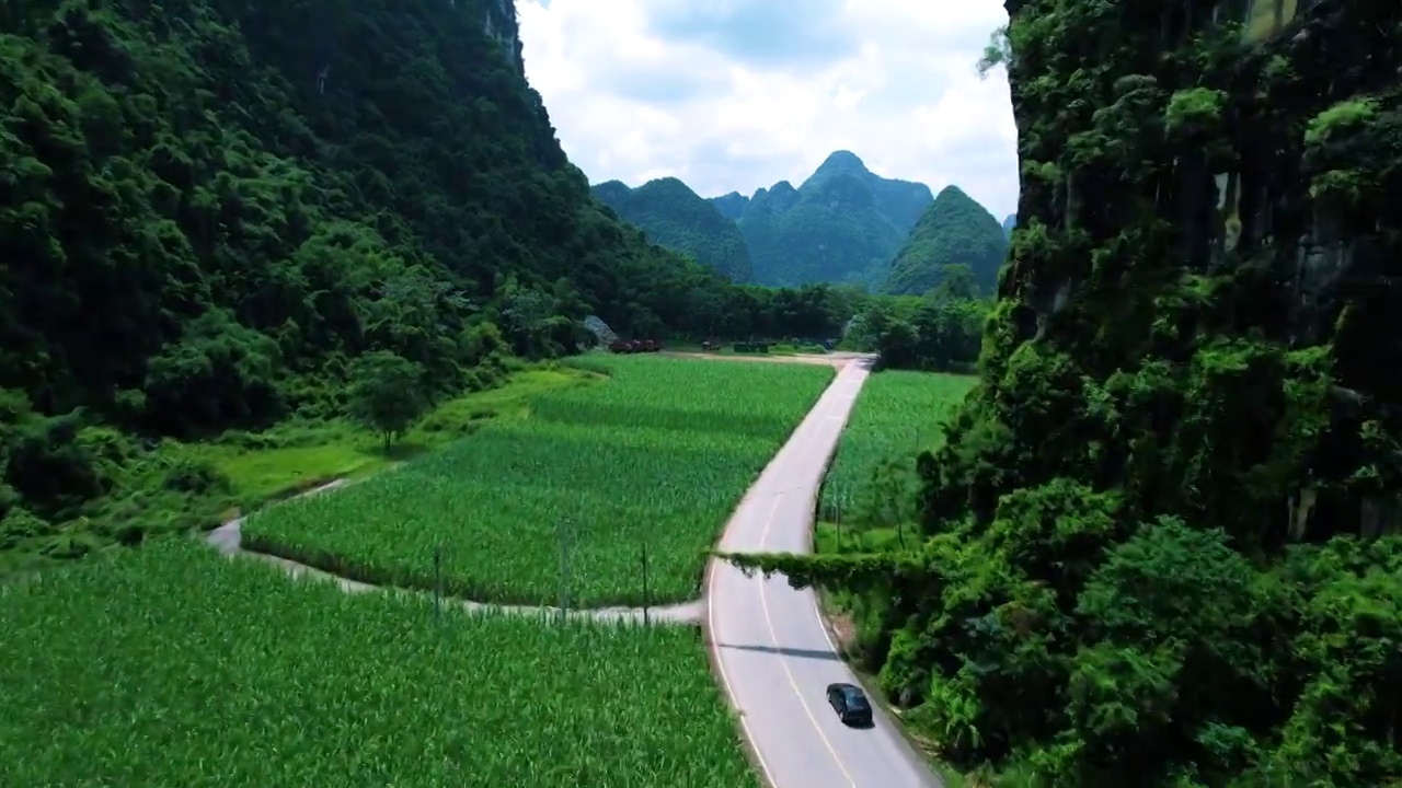 航拍广西甘蔗种植园甘蔗林背景视频下载