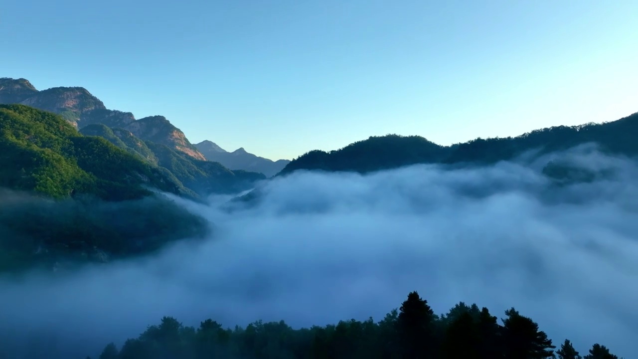 森林青山云海自然生态航拍视频素材