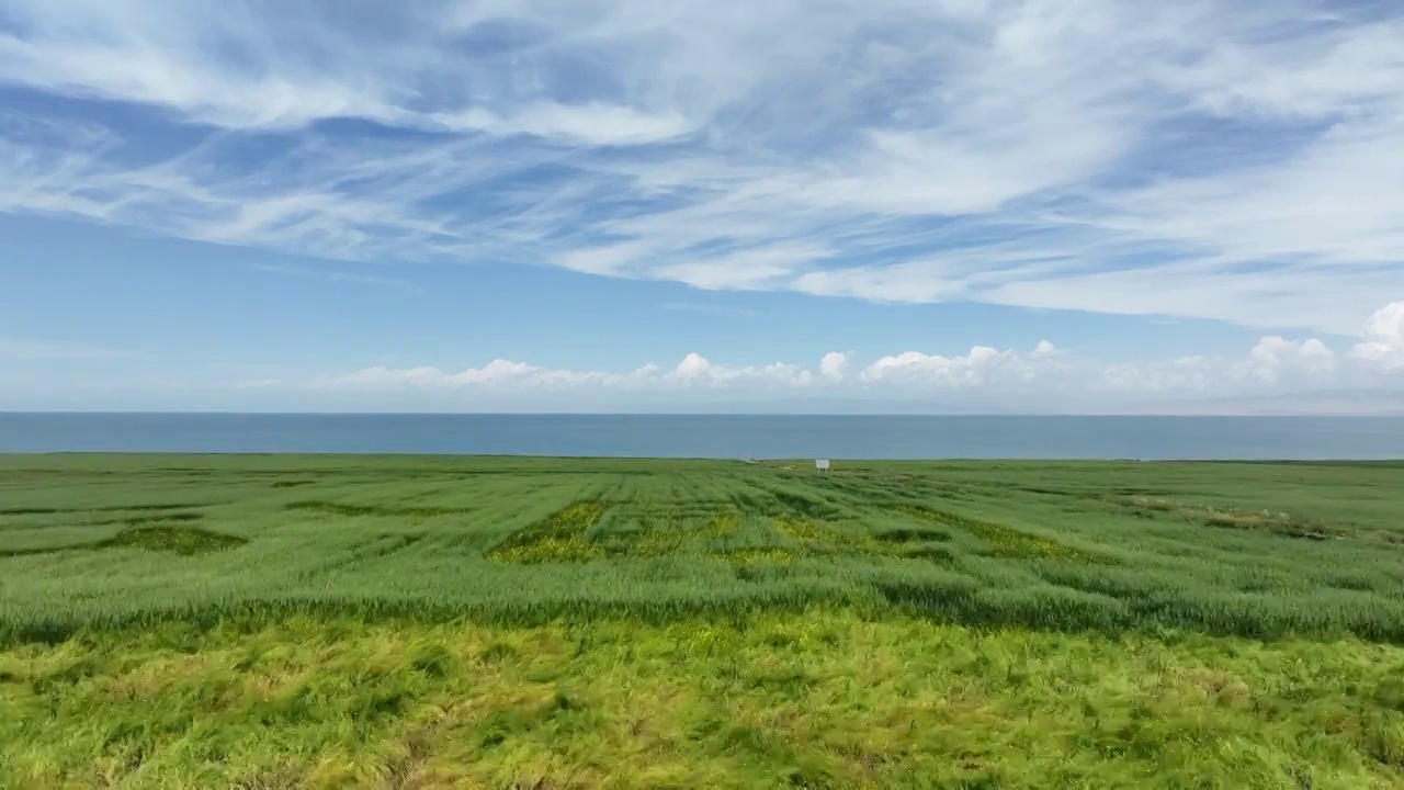 青海湖视频素材