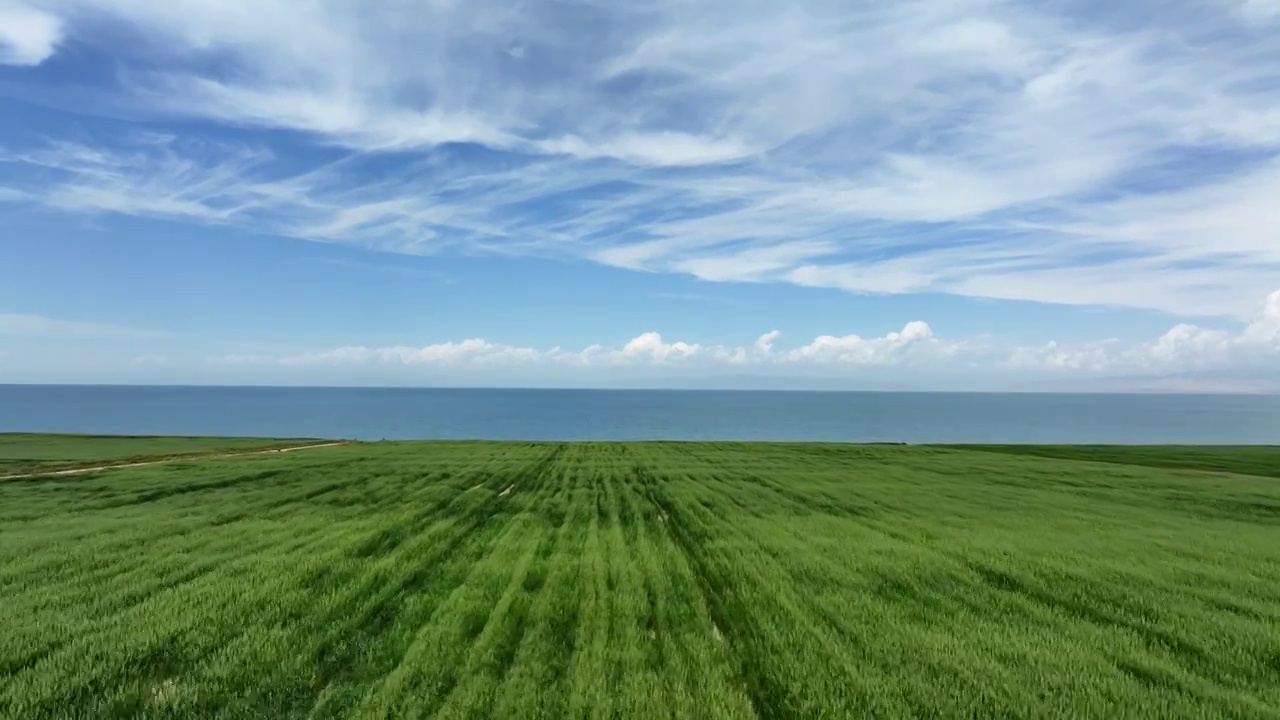 青海湖视频素材