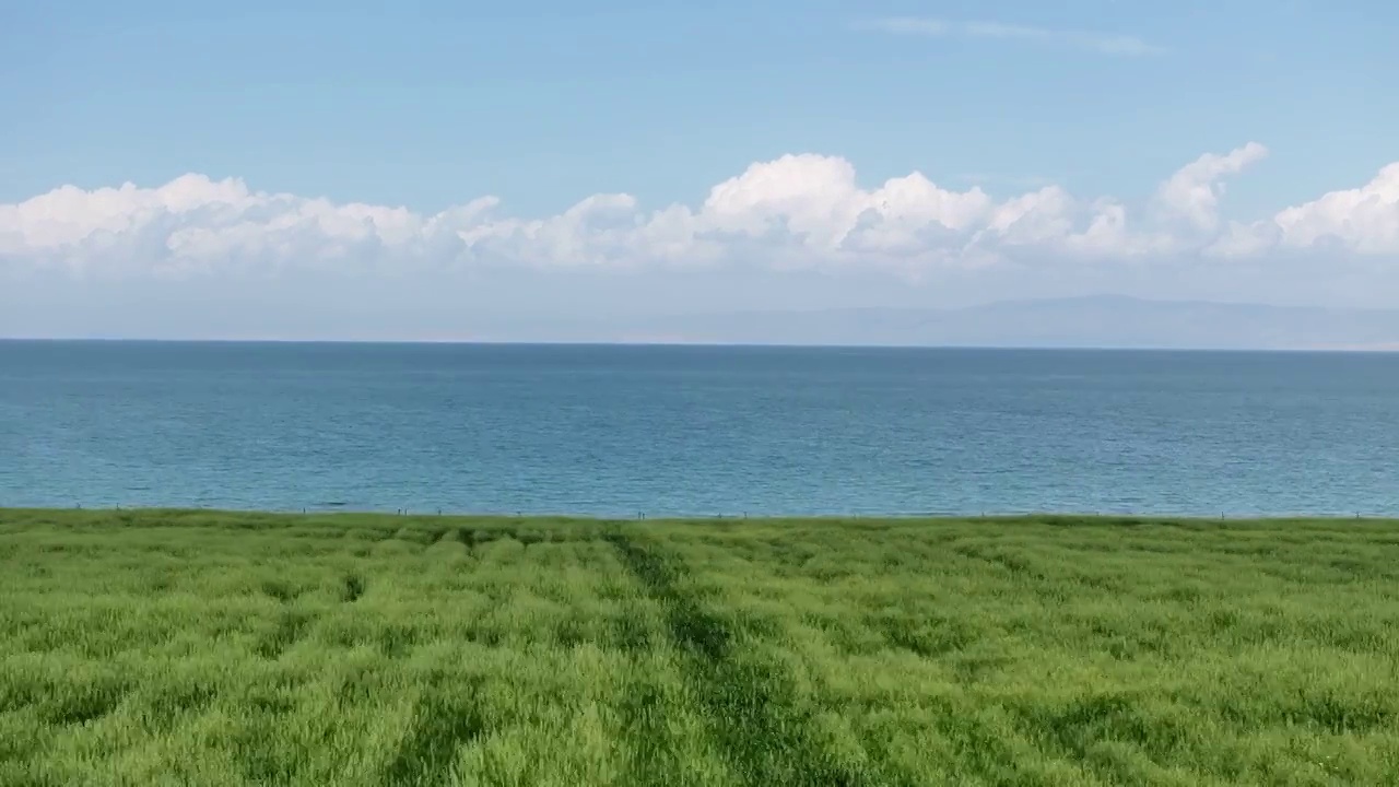 青海湖视频素材