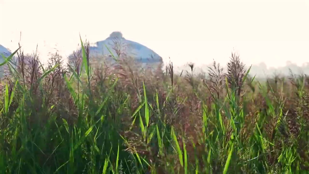 张北草原上的蒙古包视频素材