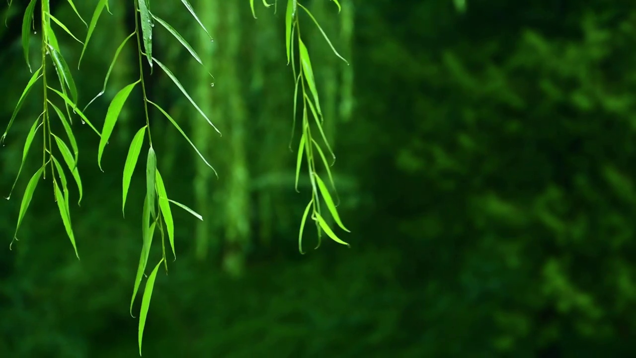 小雨中下雨的街景视频素材