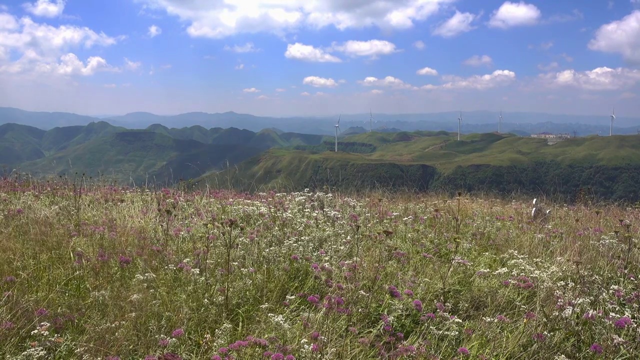 中国贵州省毕节市赫章县国家4A级景区韭菜坪风光视频素材