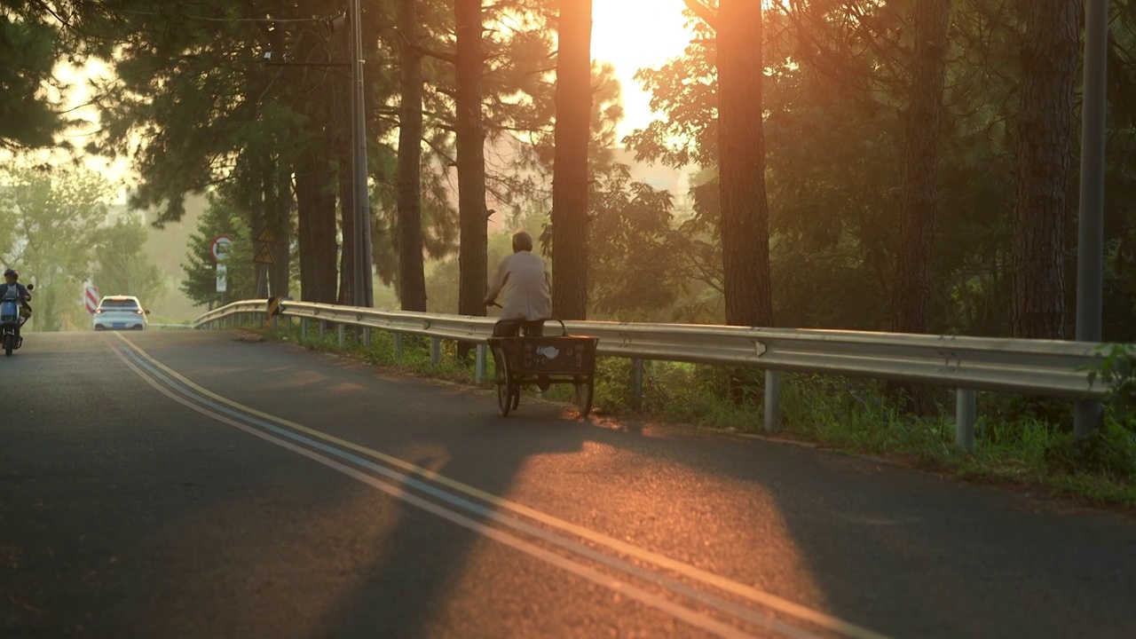 清晨阳光的乡村道路4视频素材