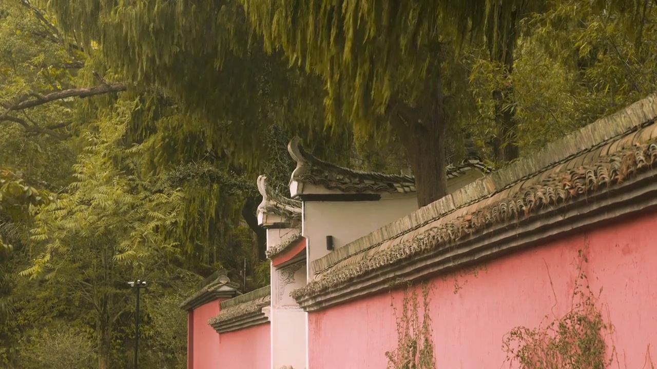 入秋后树林中的古迹建筑视频素材