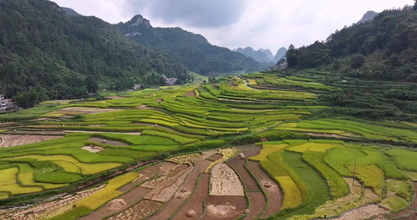 航拍广西靖西巴泽梯田风光视频素材