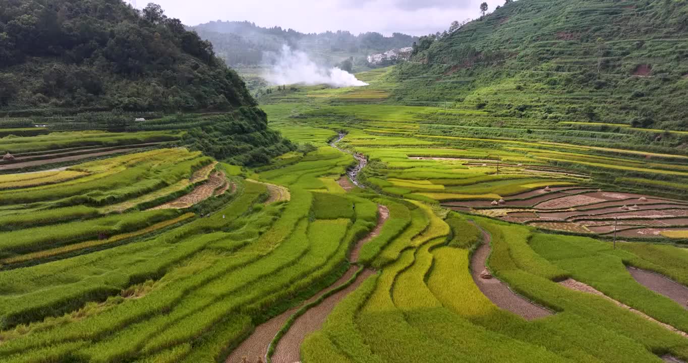 航拍广西靖西巴泽梯田自然风光视频素材