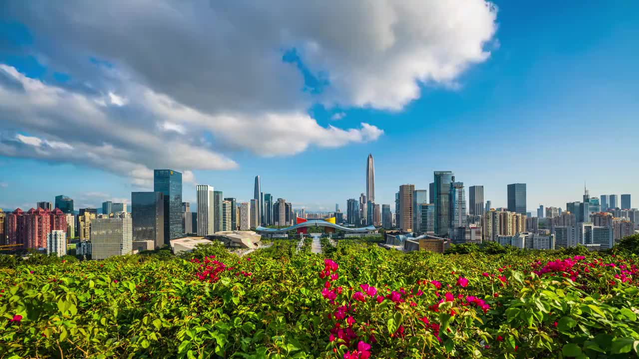 中国深圳城市建筑白昼风景视频素材