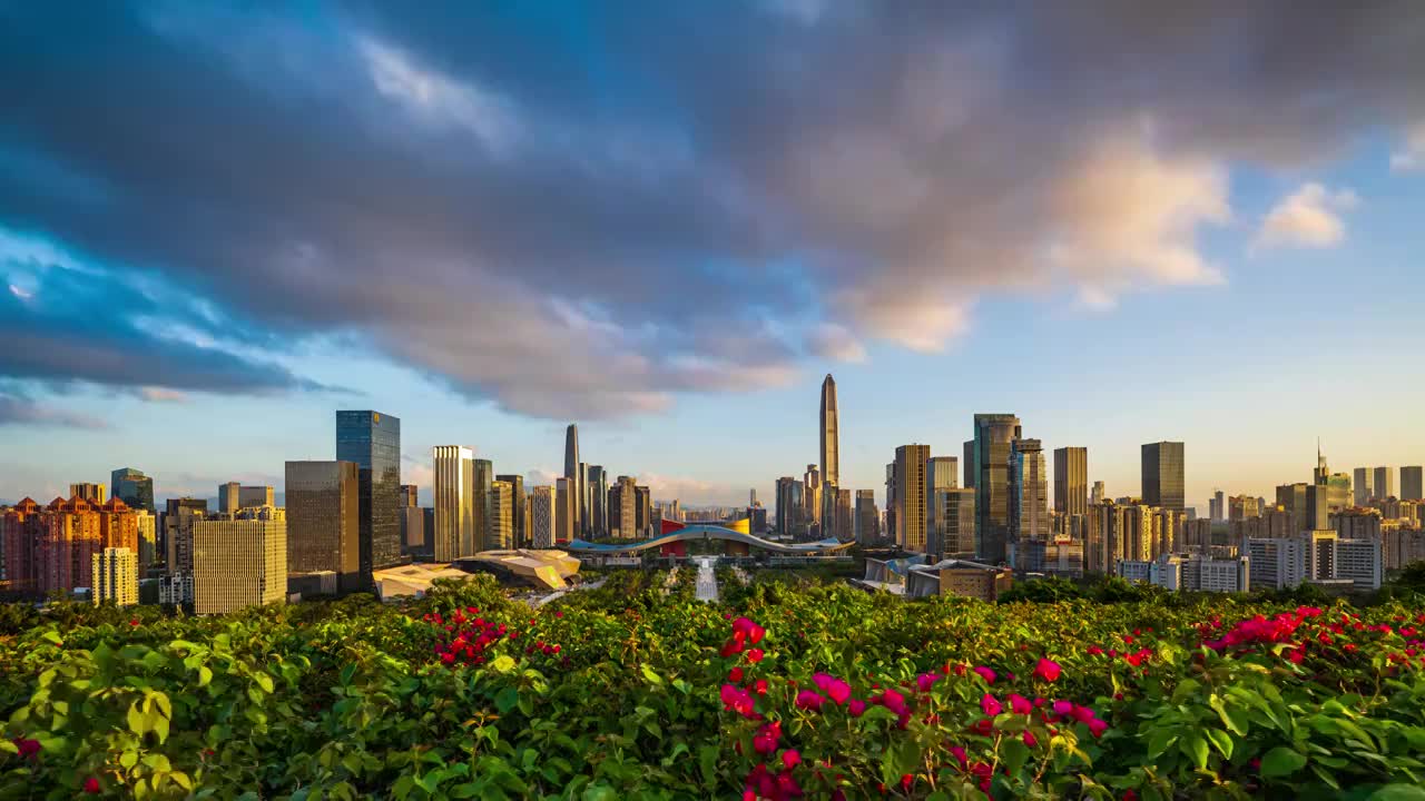 中国深圳城市建筑白昼风景视频素材