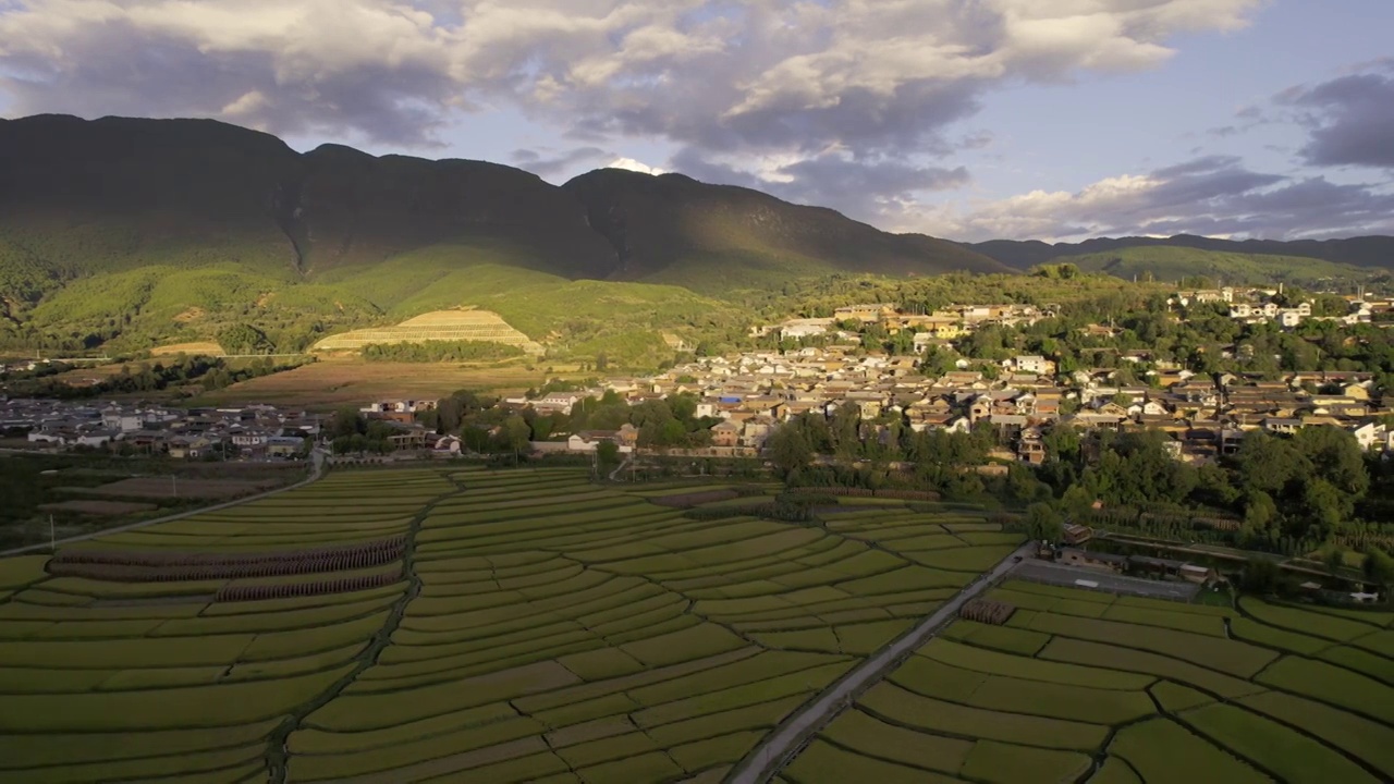 大理沙溪麦田视频素材