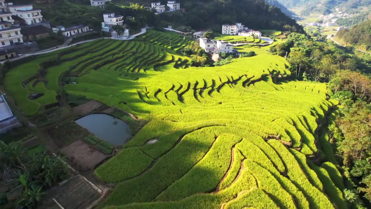 高中古丁梯田航拍视频素材