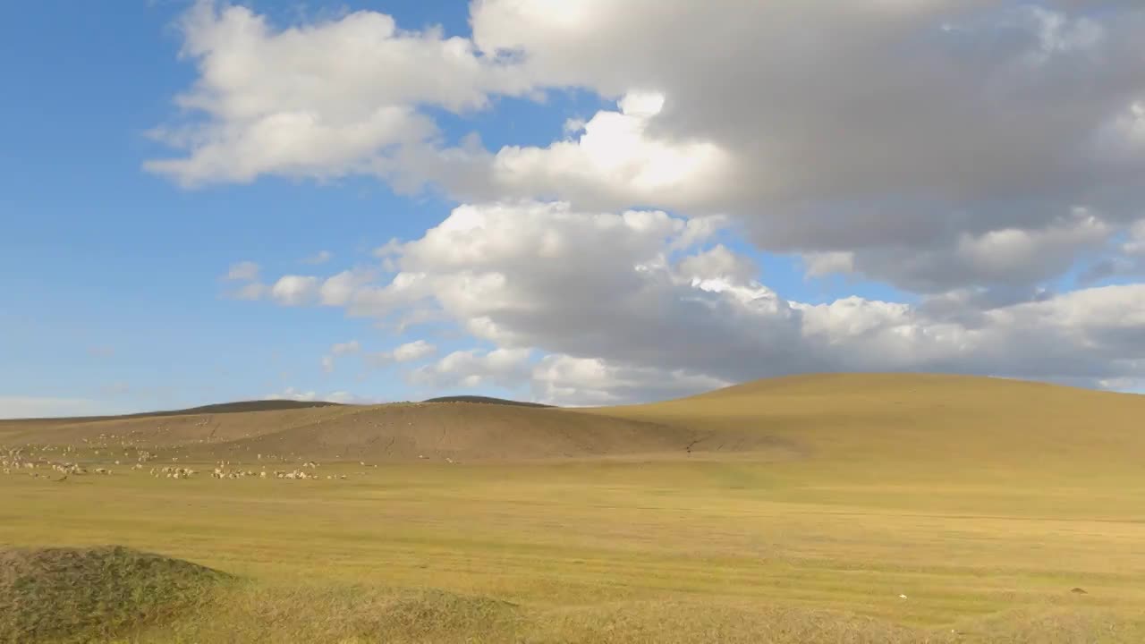 内蒙古呼伦贝尔大草原秋天自然风景视频素材