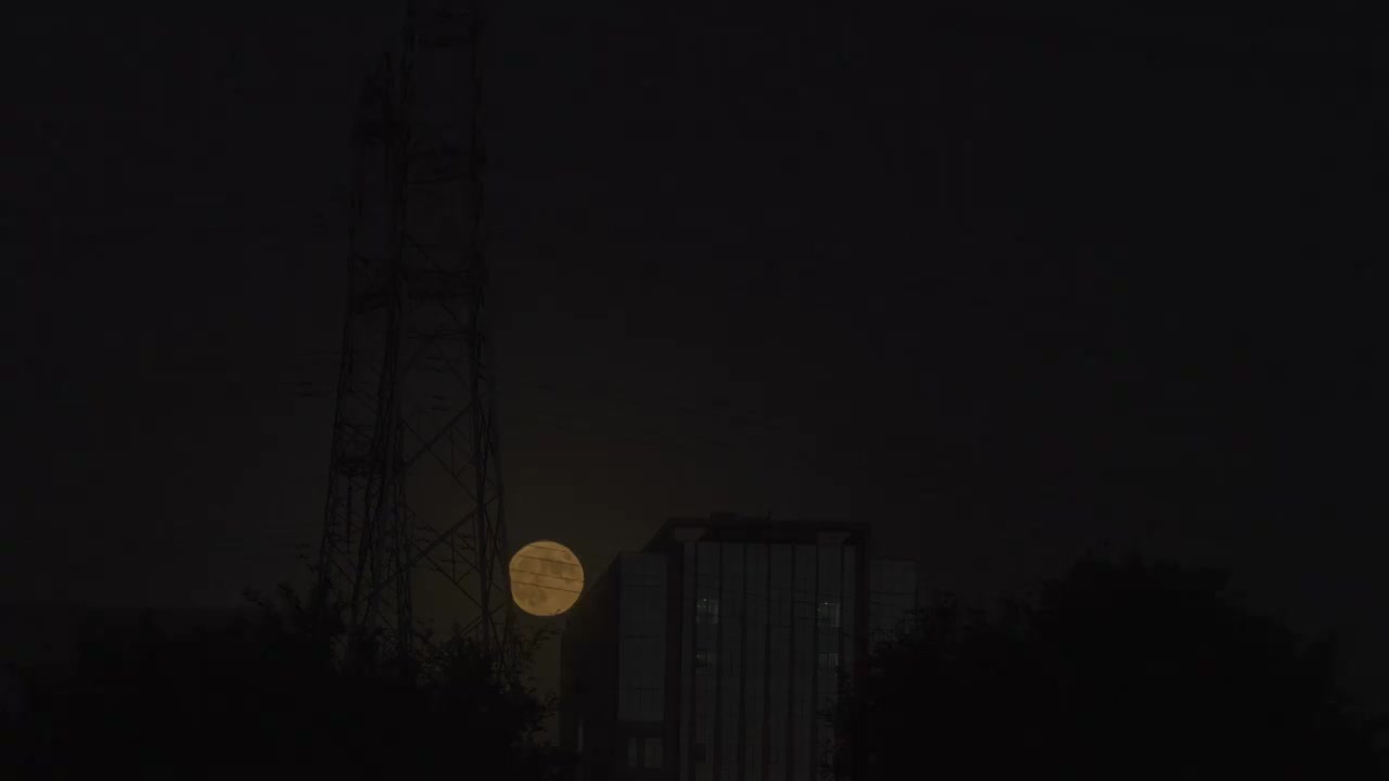 北京丰台区世界花卉大观园中秋节满月升视频素材