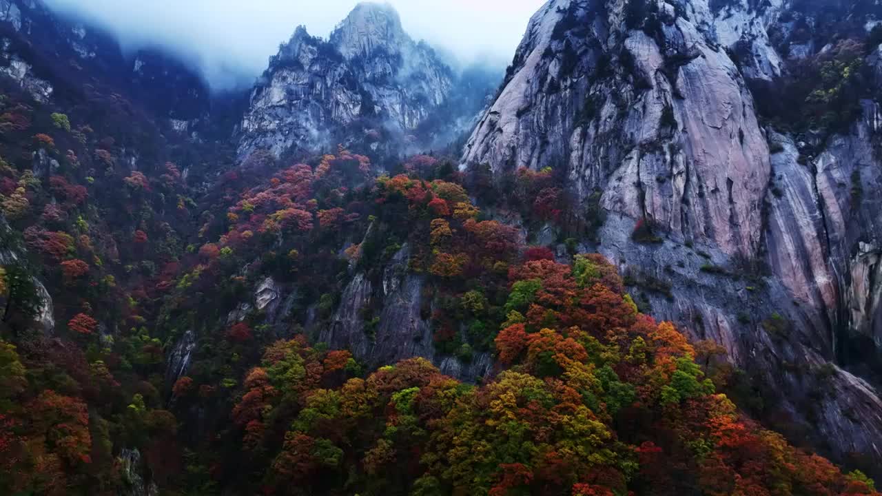 群山红叶云海国画山水航拍视频下载