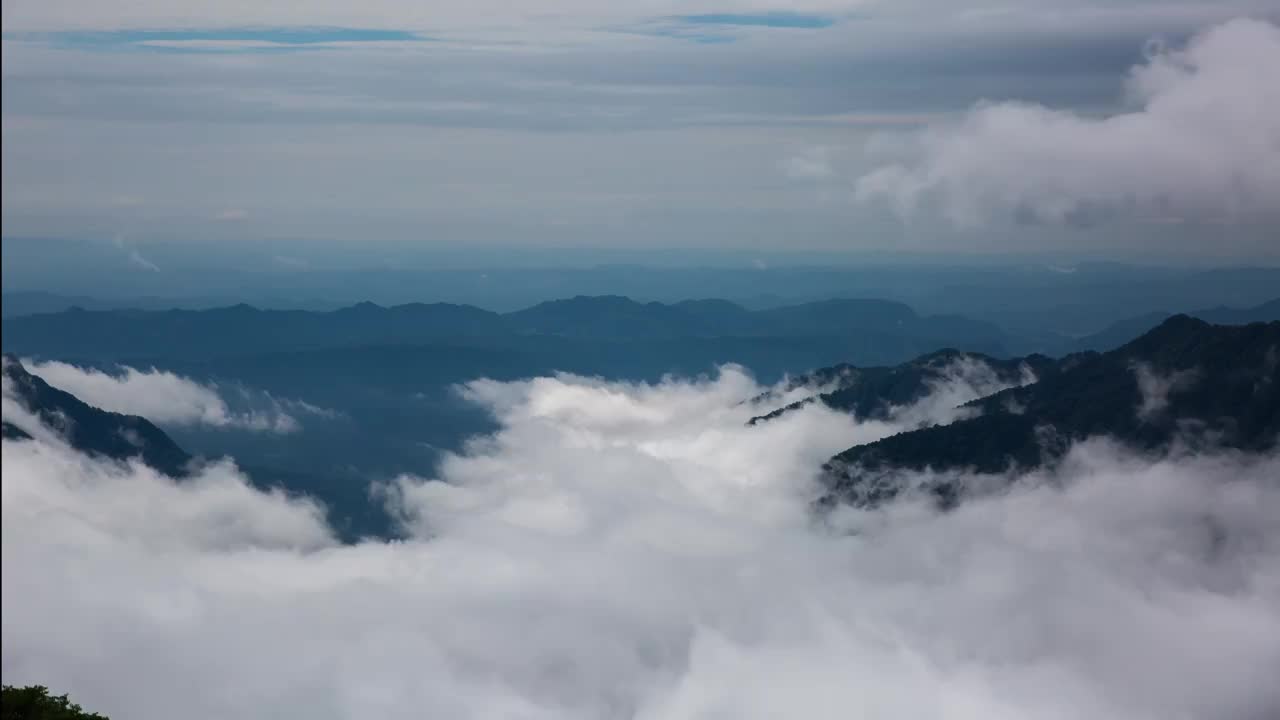 贵州,铜仁市,梵净山,云海,延时摄影视频素材