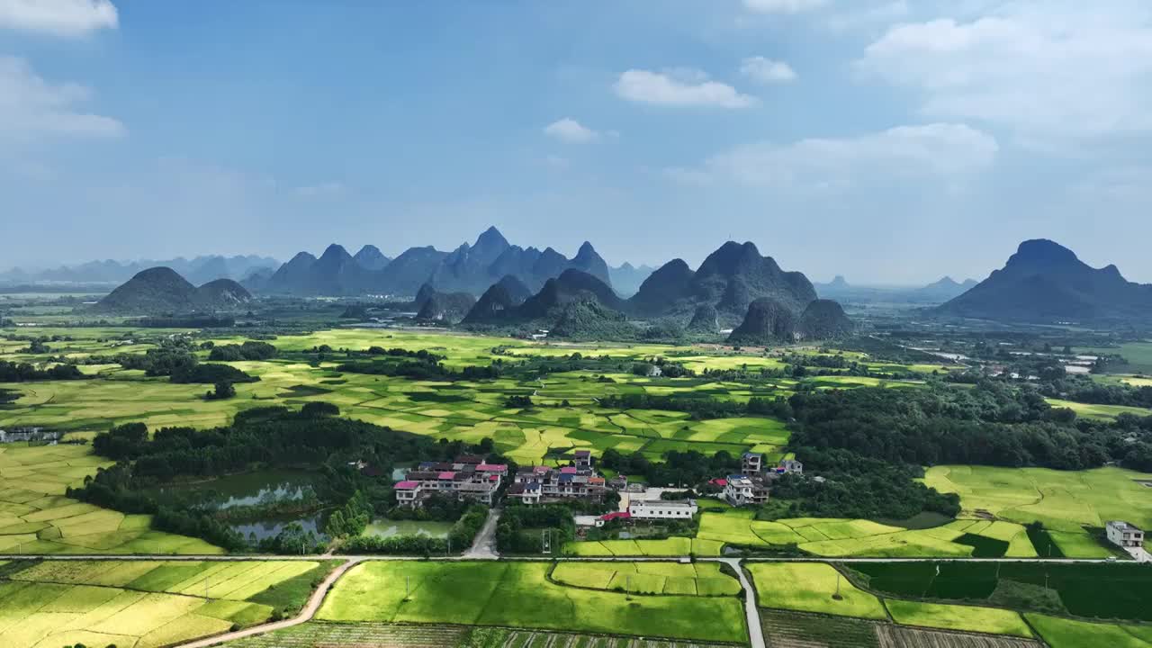 航拍秋天阳光下桂林山边河流两旁金色的稻田视频素材