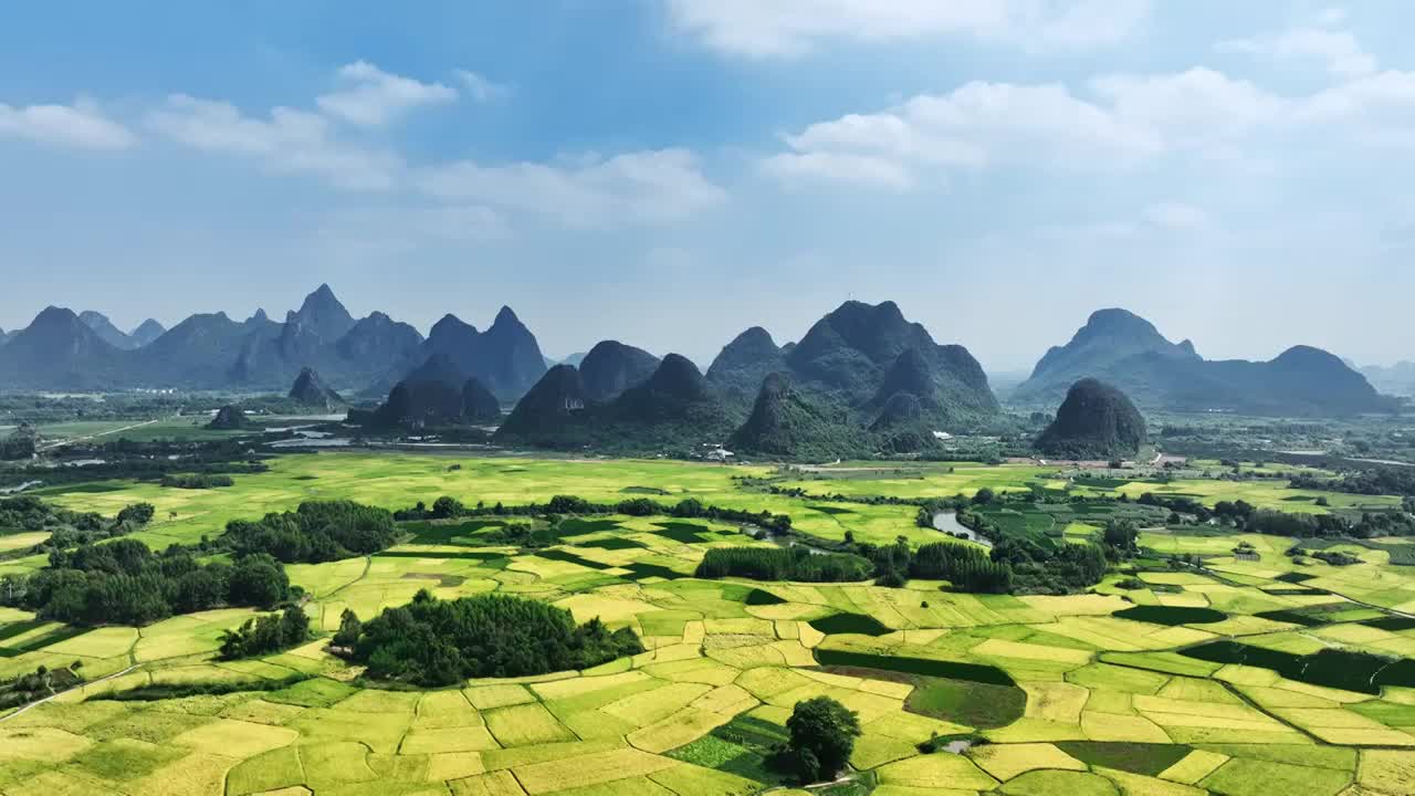 航拍秋天阳光下桂林山边河流两旁金色的稻田视频素材