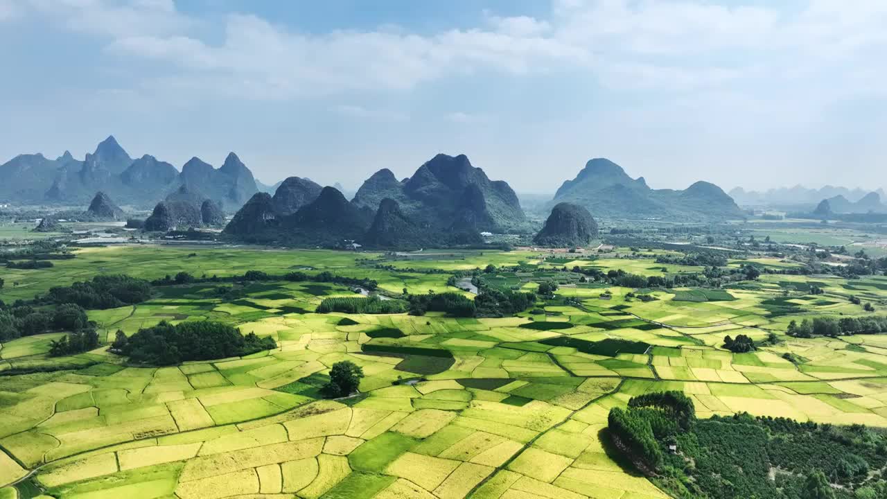 航拍秋天阳光下桂林山边河流两旁金色的稻田视频素材