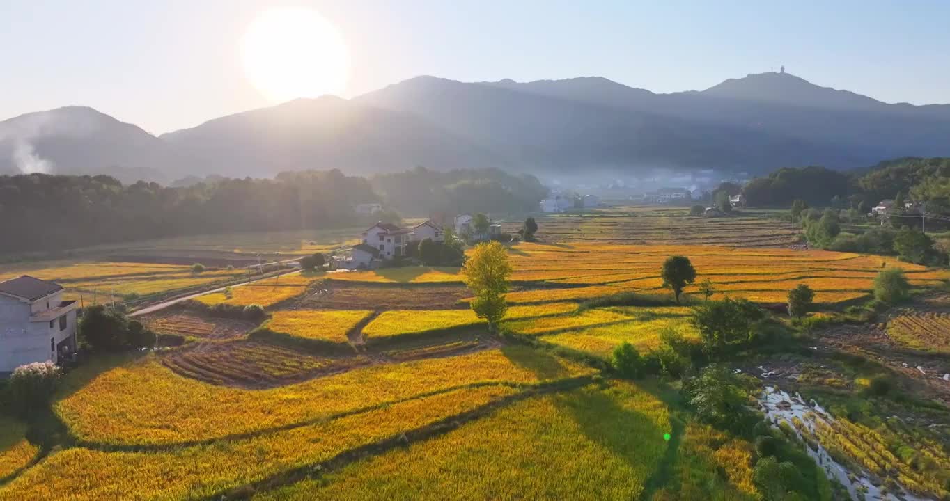 田园风光,田地,稻田,自然,山,风景,无人,农业,宁静,水稻梯田,自然美,户外,地形,梯田,绿色,秋视频下载