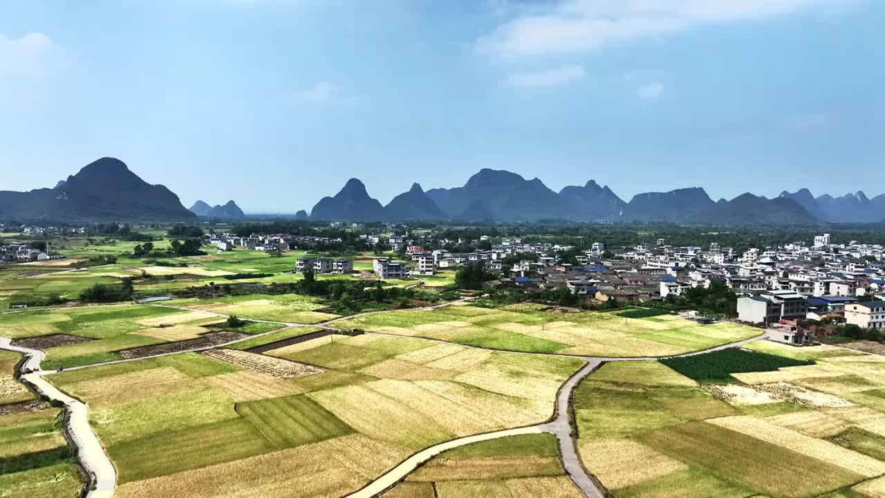 秋天阳光下航拍桂林乡村的山和大片金黄色的稻田视频素材