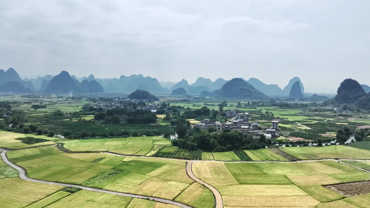 秋天阳光下航拍桂林乡村的山和大片金黄色的稻田视频素材