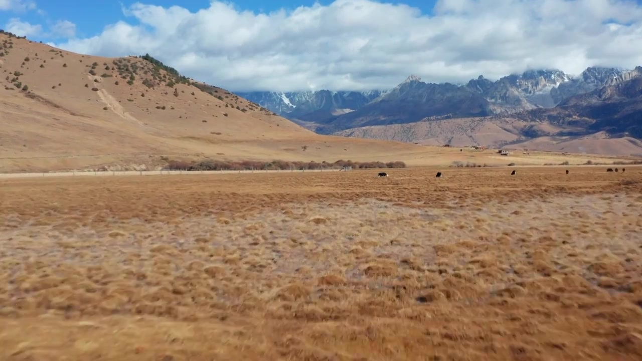 川西秋景航拍视频素材