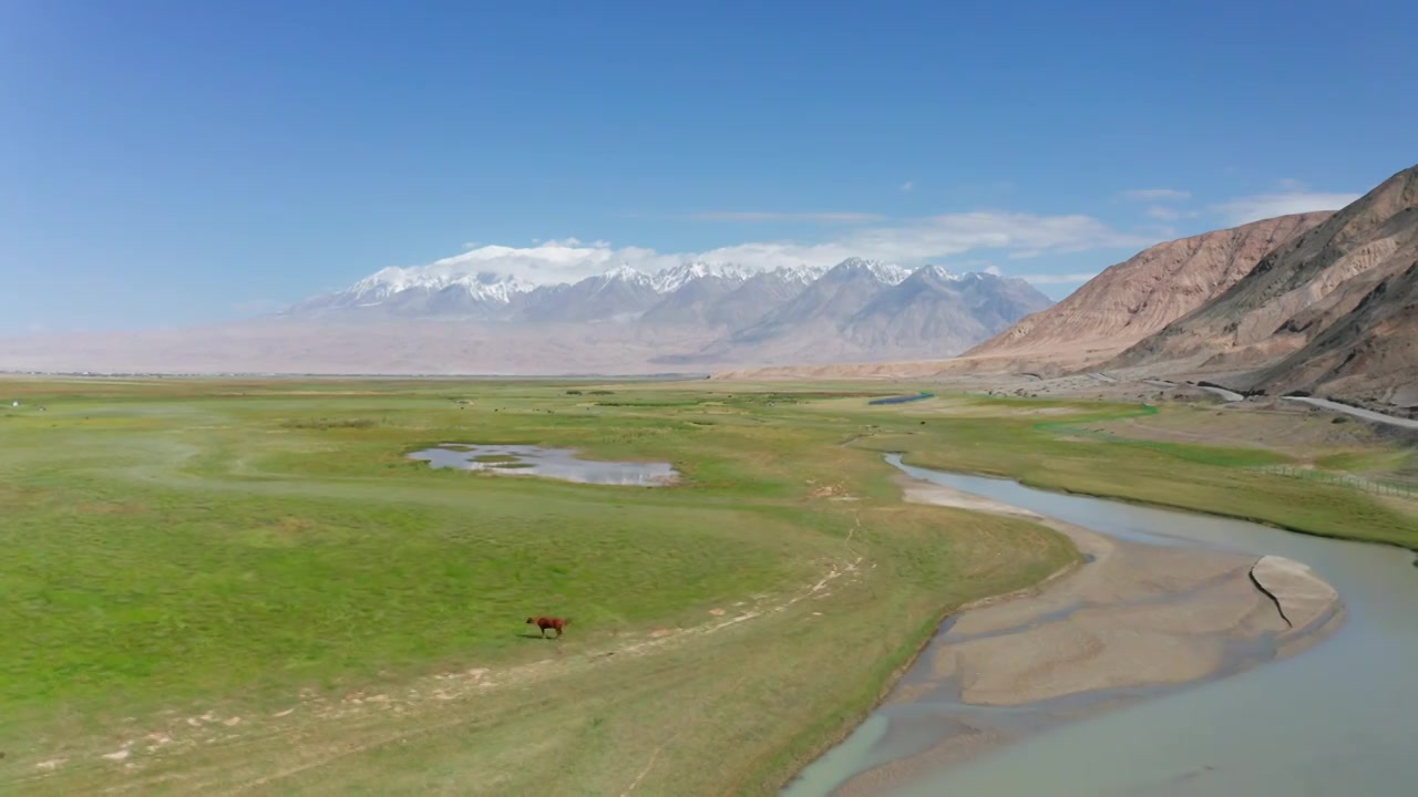 新疆喀什塔合曼湿地风景航拍视频下载