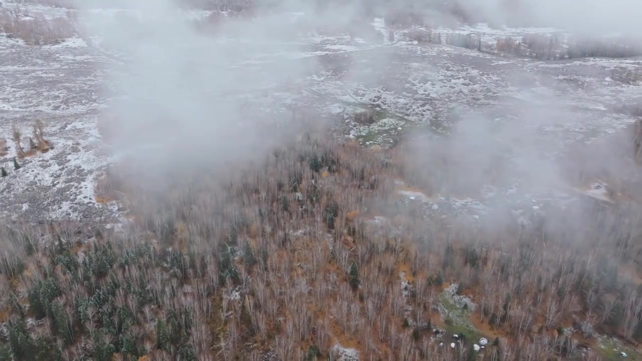 航拍新疆禾木村雪后的树林视频素材