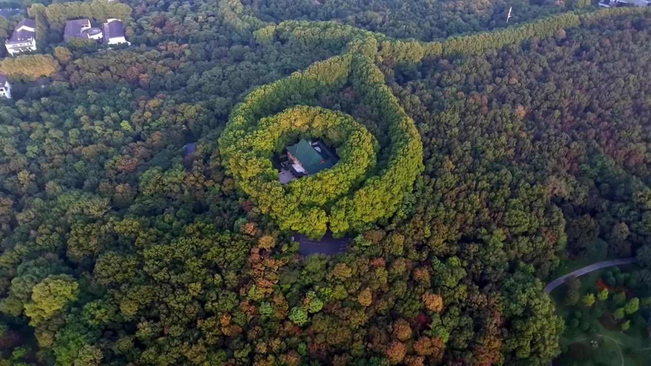 南京美龄宫金色的秋天南京地标标志性旅游地视频素材