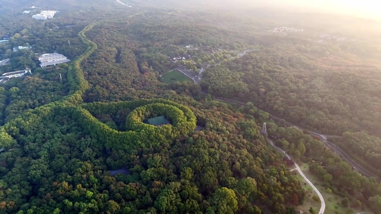 南京美龄宫金色的秋天南京地标标志性旅游地视频素材