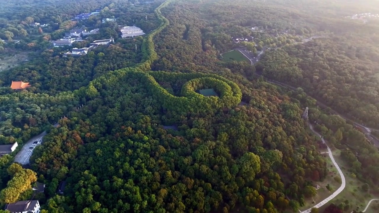 南京美龄宫金色的秋天南京地标标志性旅游地视频素材