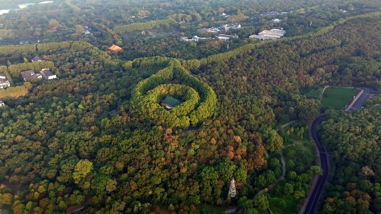 南京美龄宫金色的秋天南京地标标志性旅游地视频素材