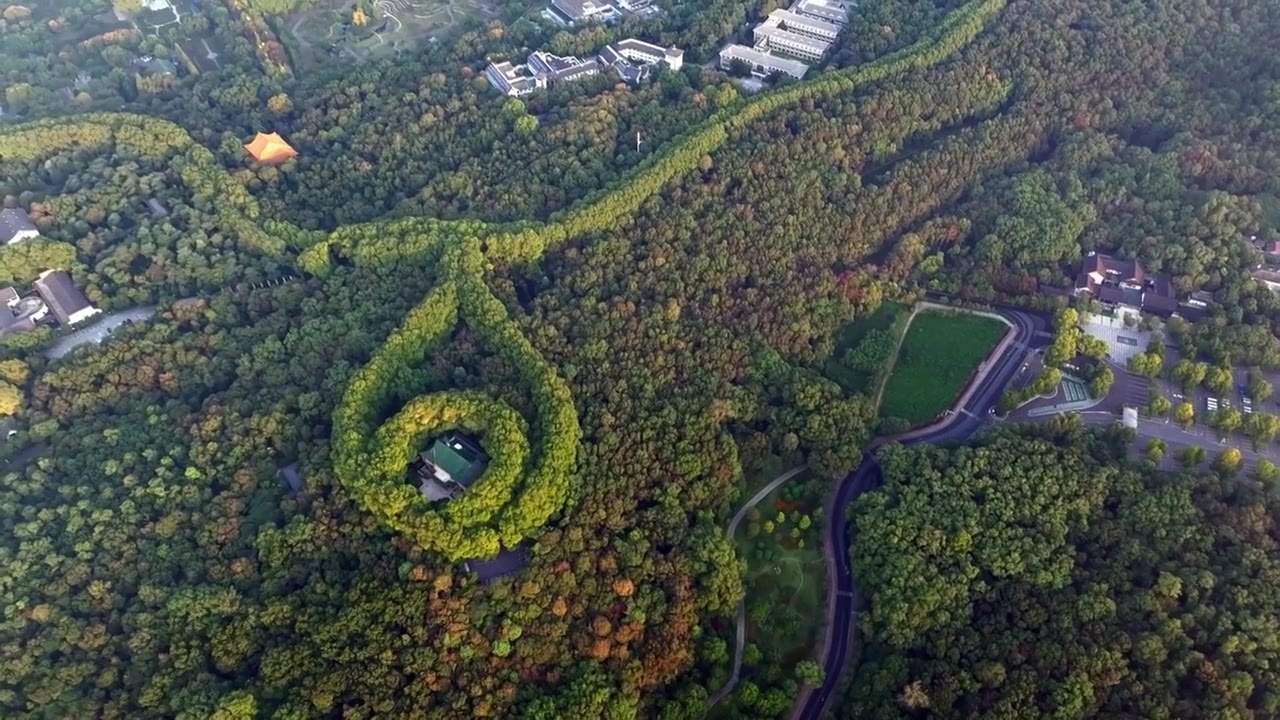 南京美龄宫金色的秋天南京地标标志性旅游地视频素材